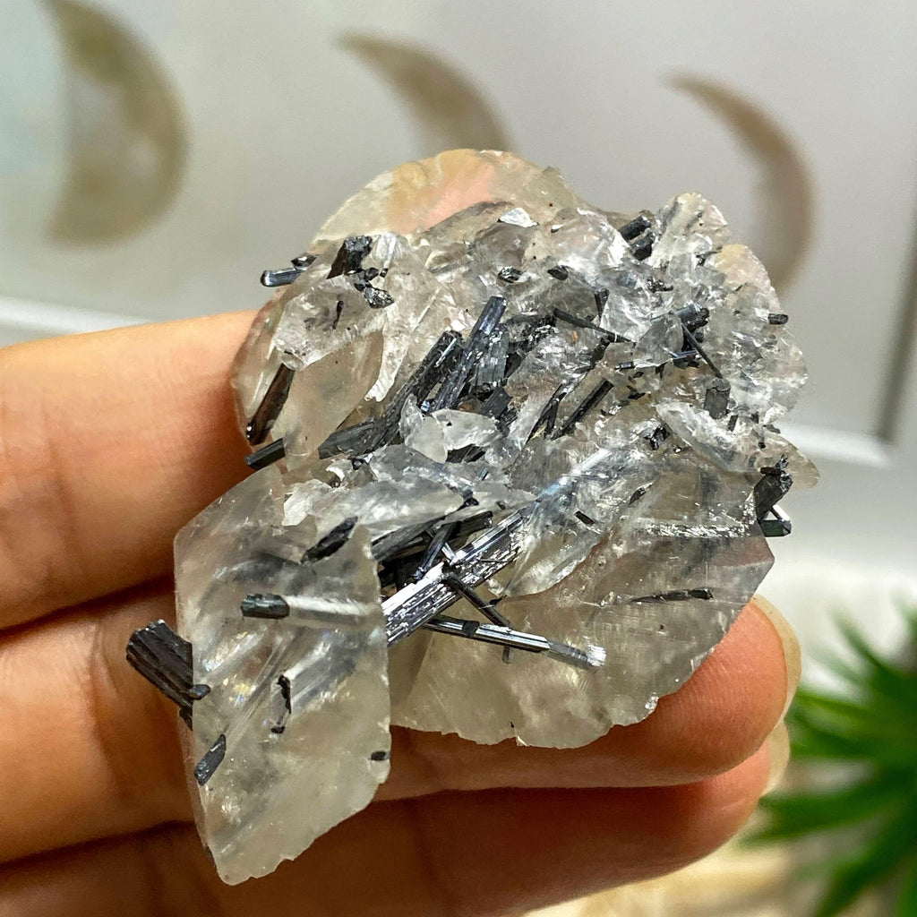 Rare Collectors Specimen! Multiple Silver Stibnite Points Nestled in Calcite Matrix From Hunan, China - Earth Family Crystals