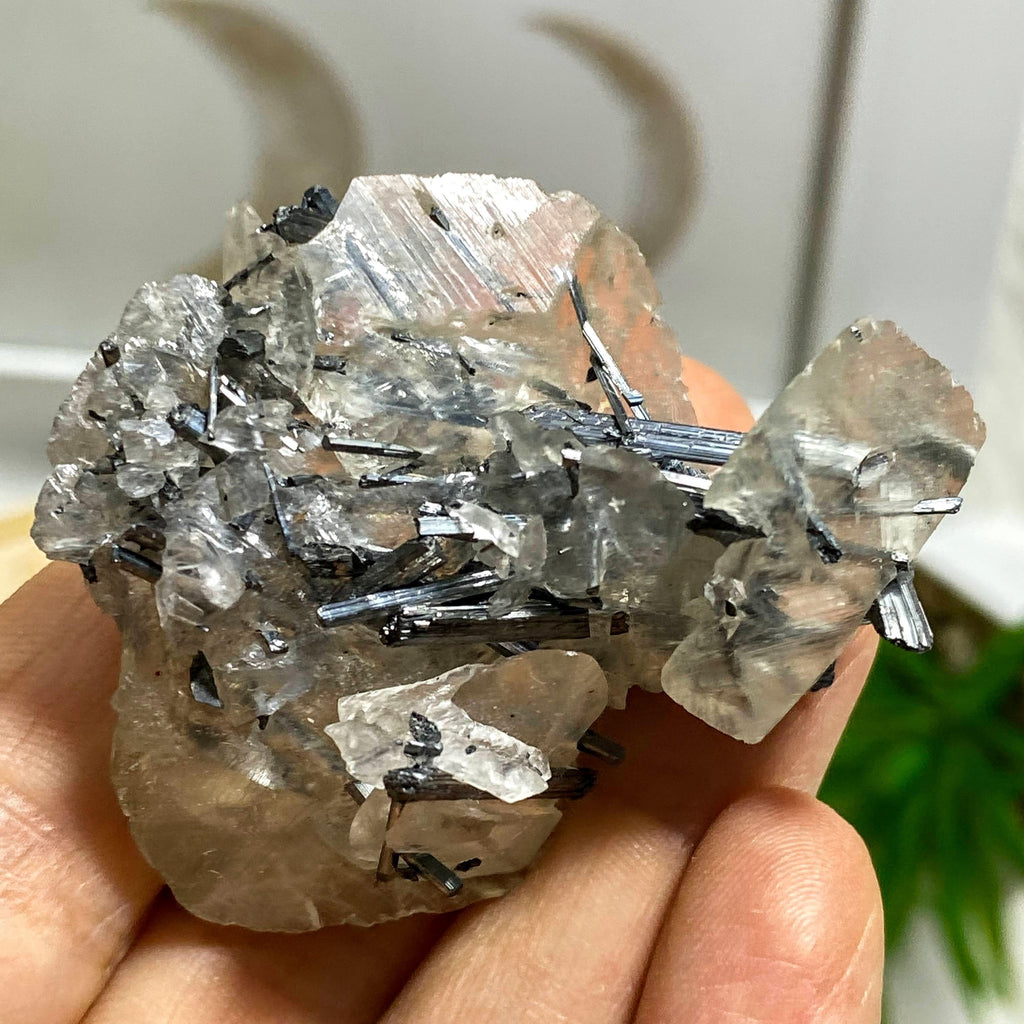 Rare Collectors Specimen! Multiple Silver Stibnite Points Nestled in Calcite Matrix From Hunan, China - Earth Family Crystals