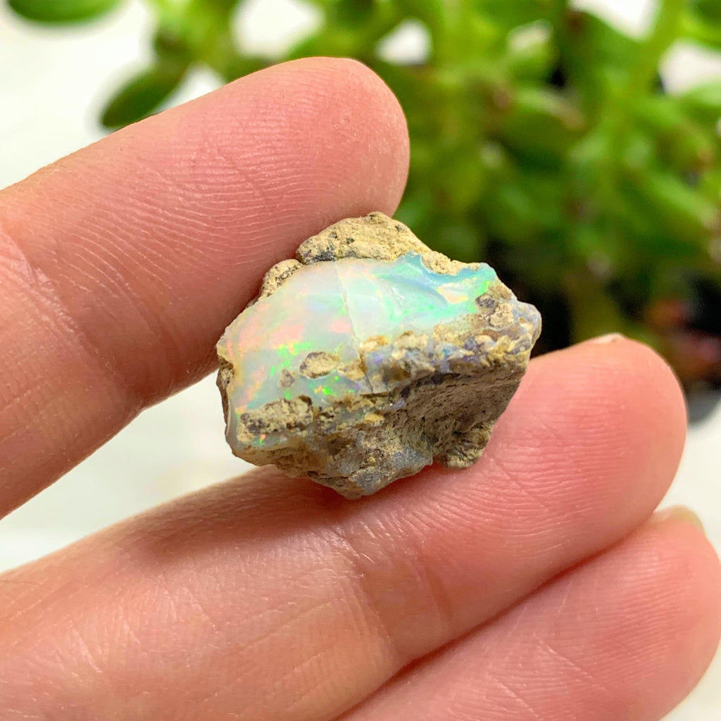 Raw Ethiopian Opal Flashy Collectors Specimen #2 - Earth Family Crystals