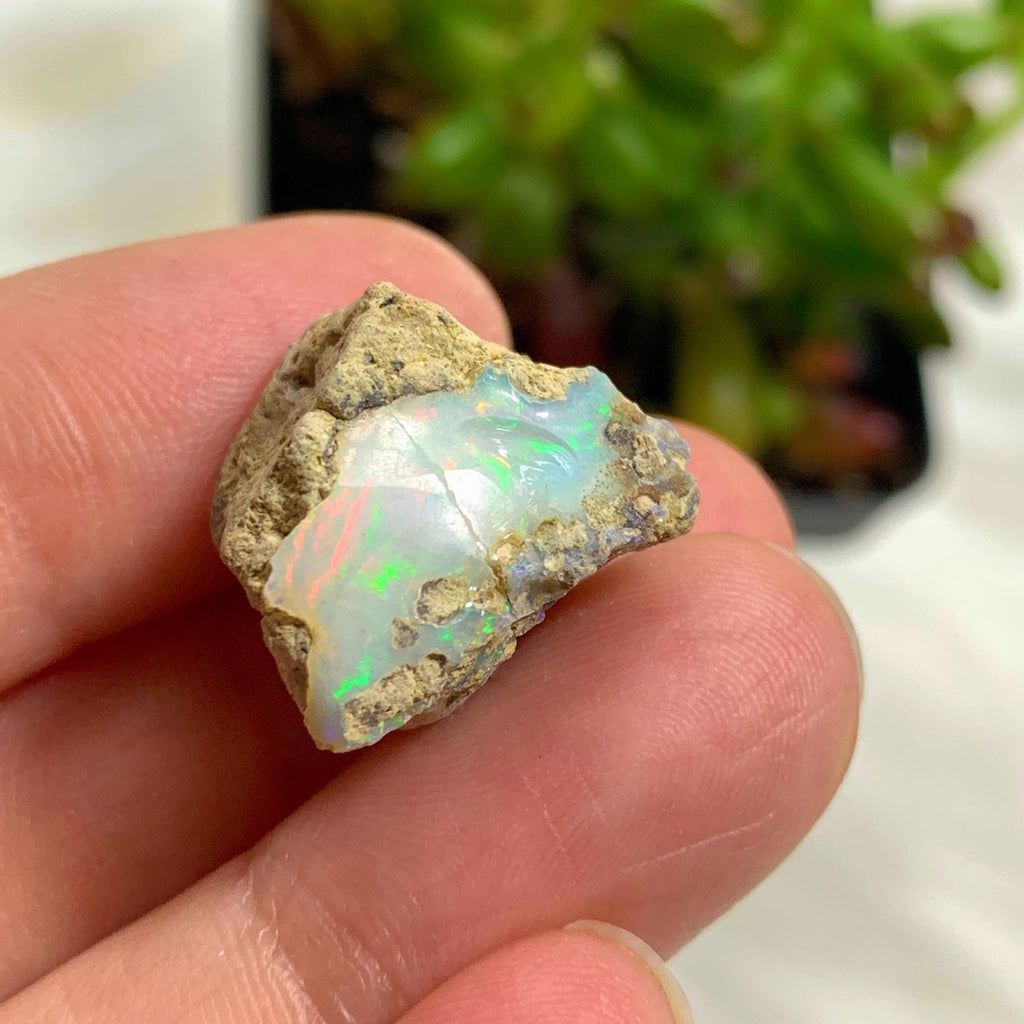 Raw Ethiopian Opal Flashy Collectors Specimen #2 - Earth Family Crystals