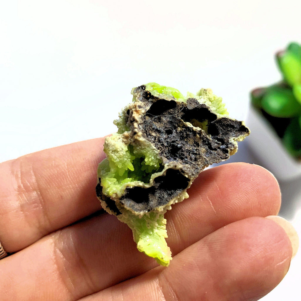 Lime Green Pyromorphite Small Collectors Specimen~Locality China - Earth Family Crystals