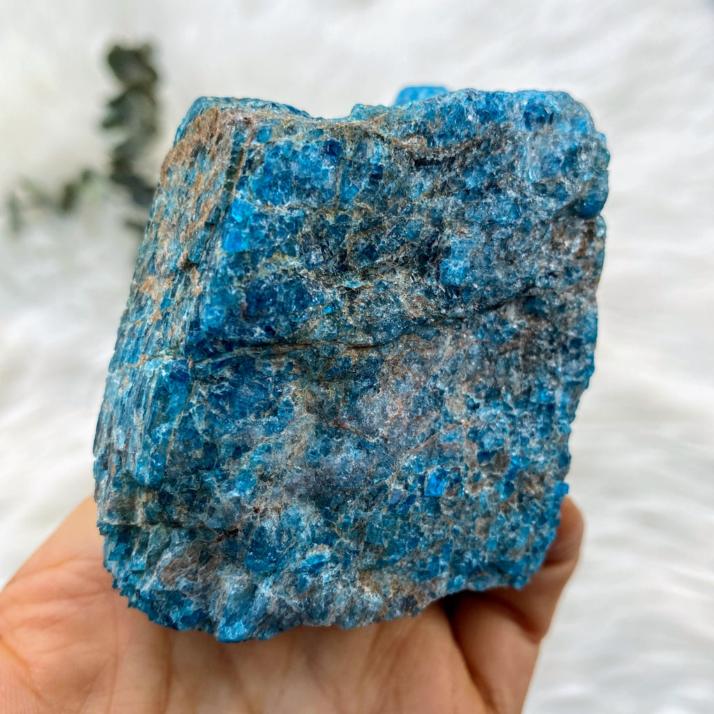 Vibrant Blue Apatite Large Natural Specimen from Brazil #2 - Earth Family Crystals