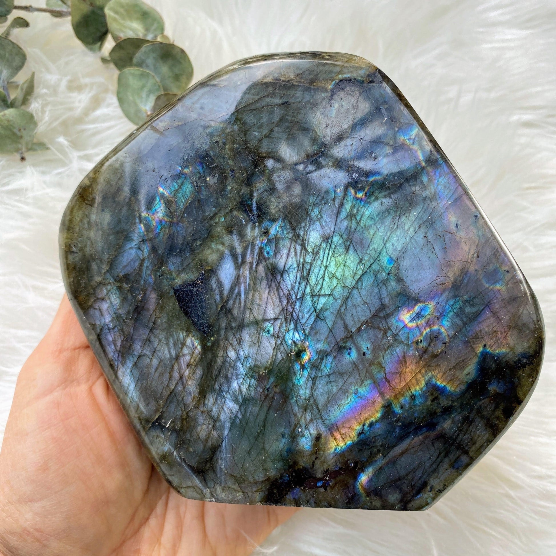 Rare Purple & Pink Flash! Gorgeous XL Labradorite Standing Display Specimen - Earth Family Crystals