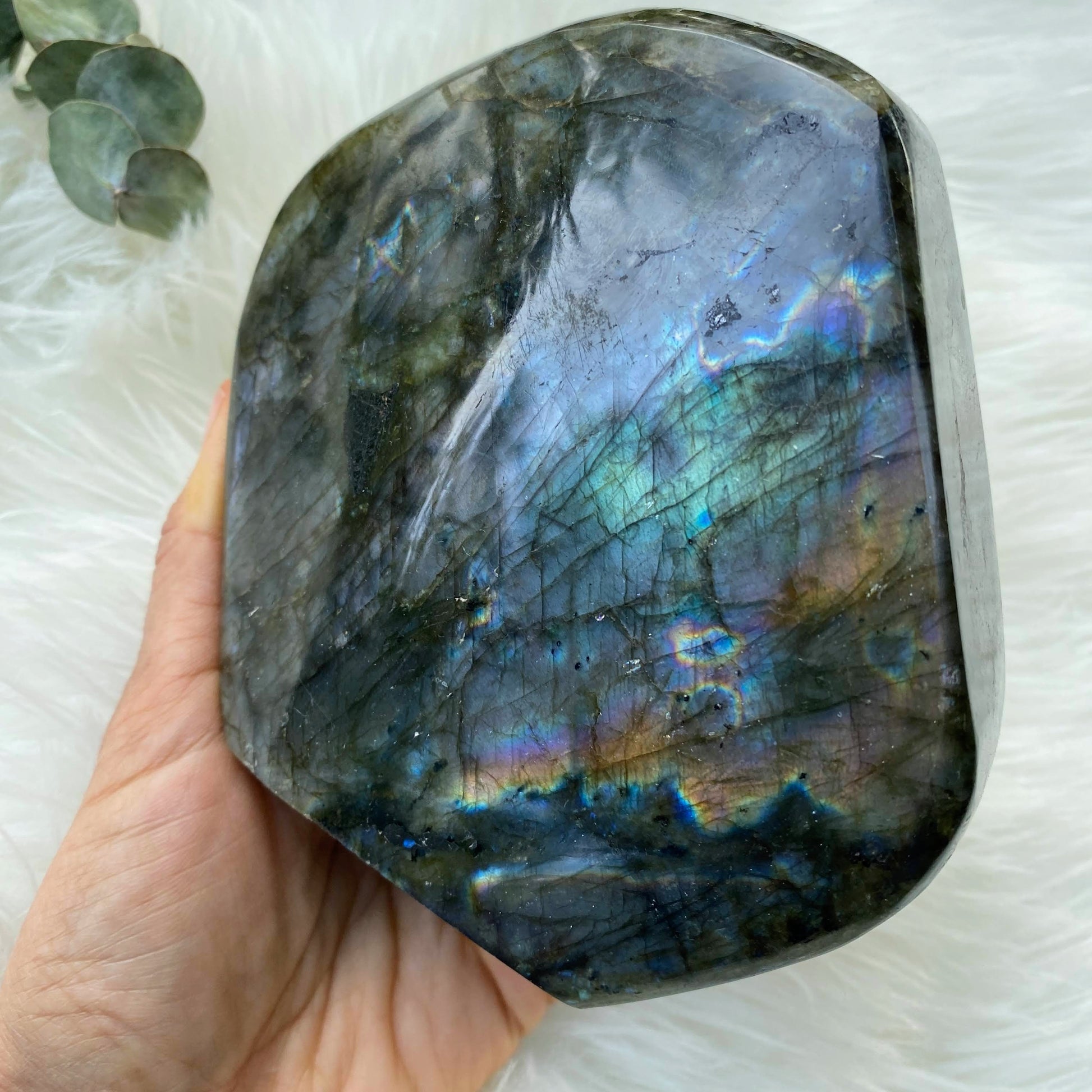 Rare Purple & Pink Flash! Gorgeous XL Labradorite Standing Display Specimen - Earth Family Crystals