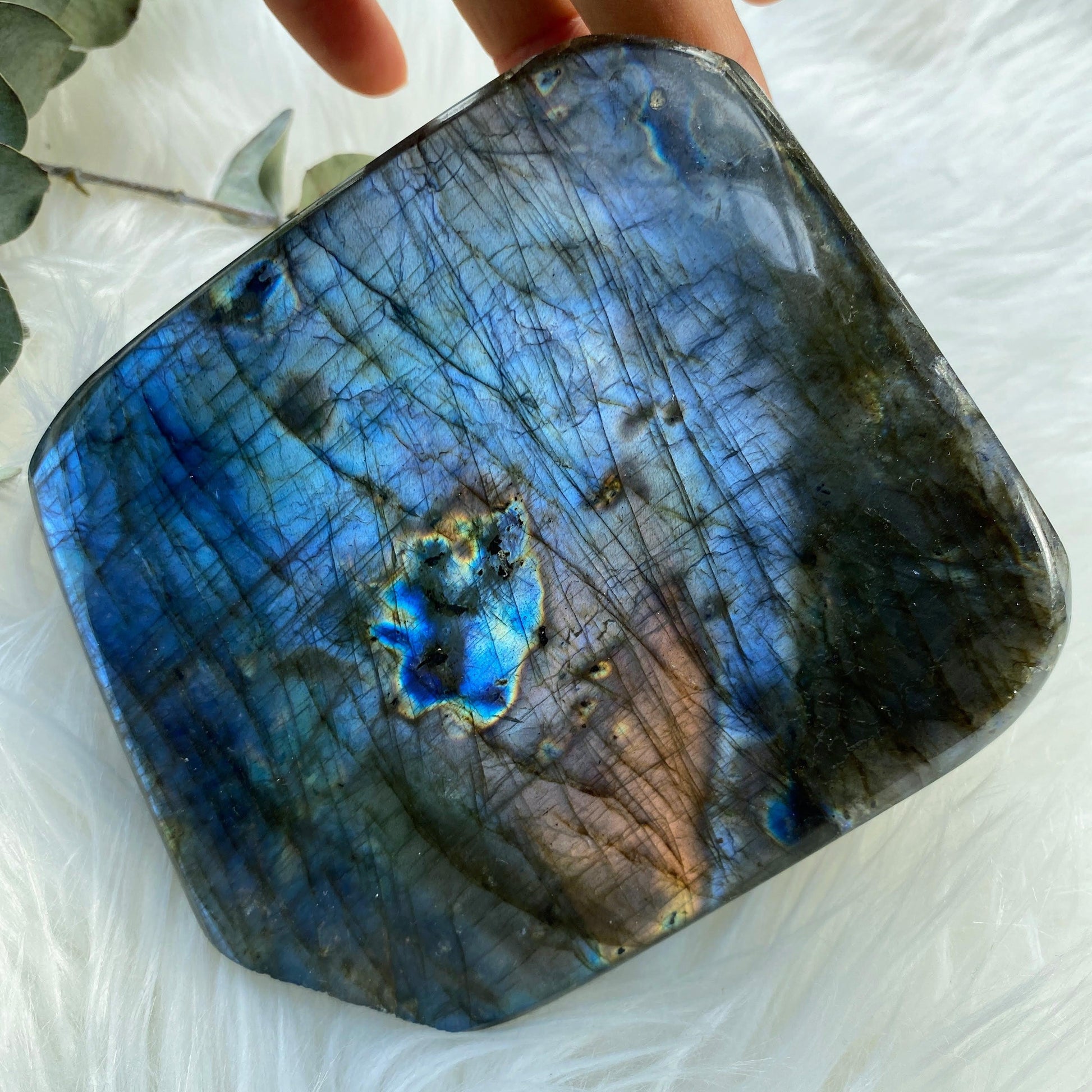 Rare Purple & Pink Flash! Gorgeous XL Labradorite Standing Display Specimen - Earth Family Crystals