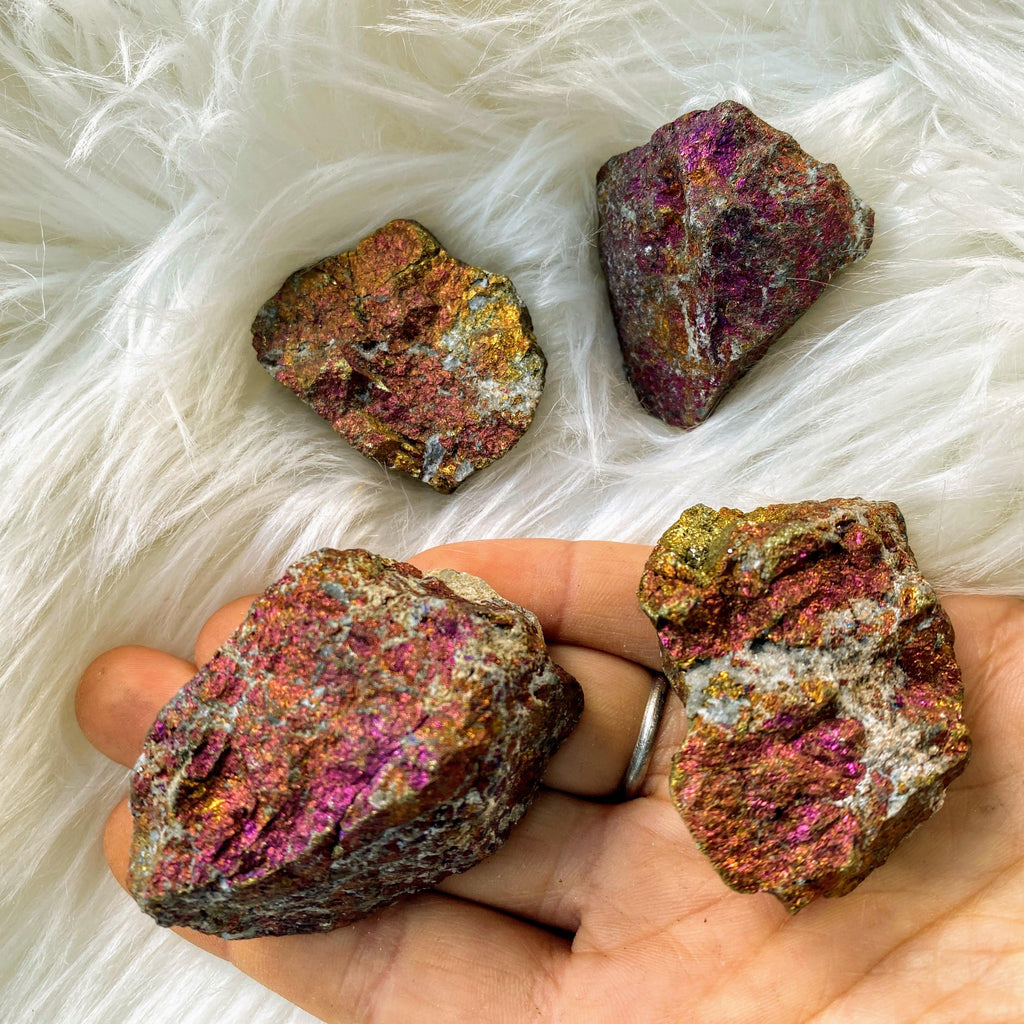 Set of 2~Natural Raw Peacock Ore (Bornite)  Specimen - Earth Family Crystals