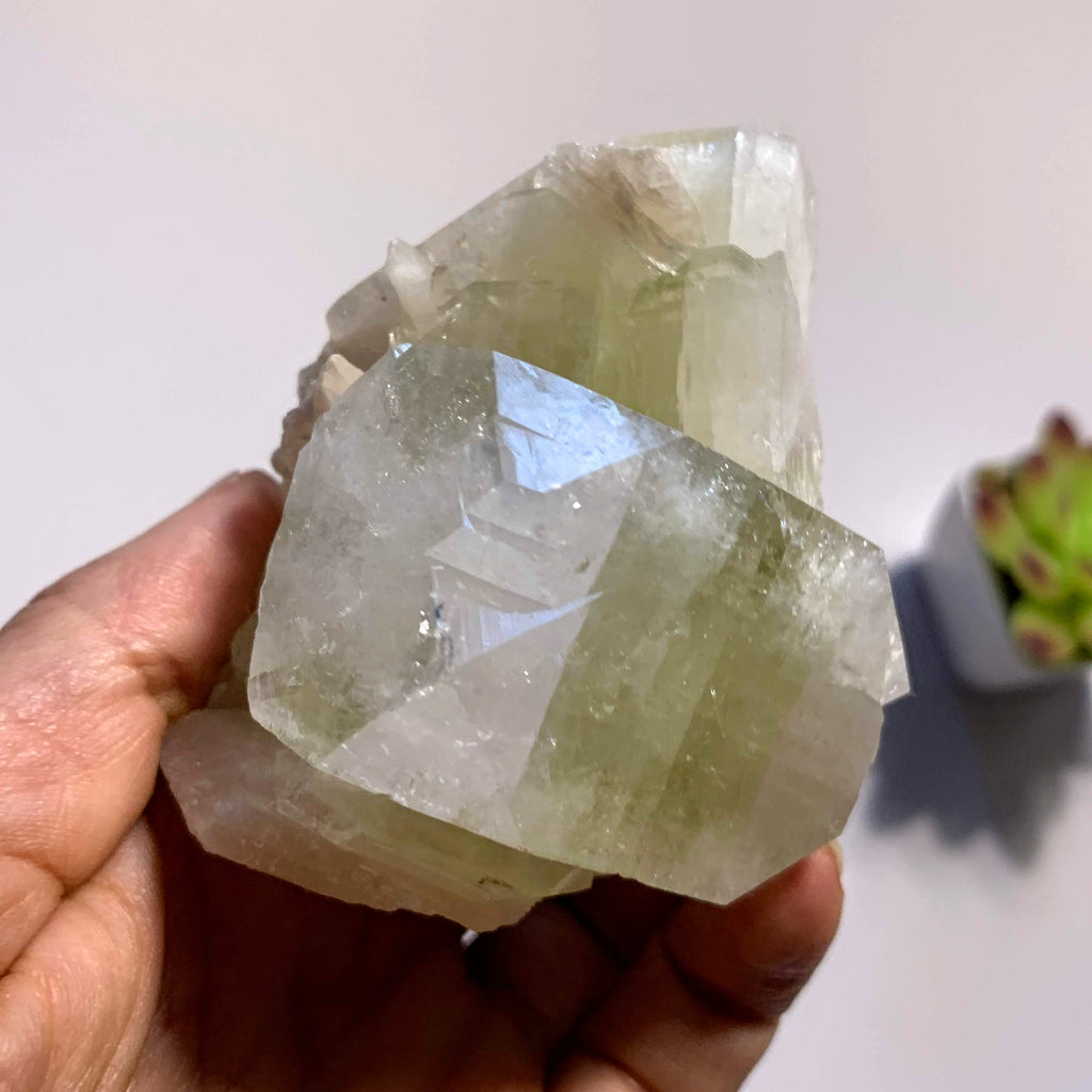 Brilliant Large Green Apophyllite & Stilbite Cluster ~Locality India - Earth Family Crystals