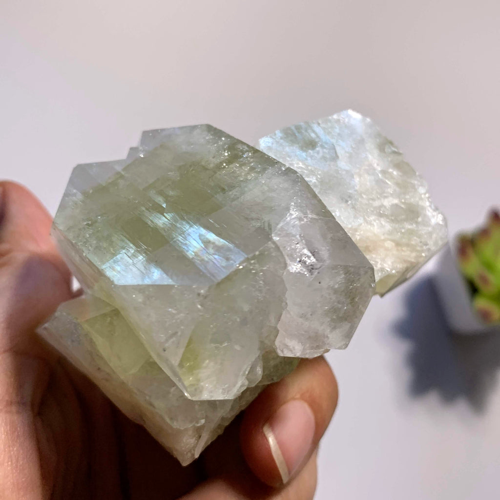 Brilliant Large Green Apophyllite & Stilbite Cluster ~Locality India - Earth Family Crystals