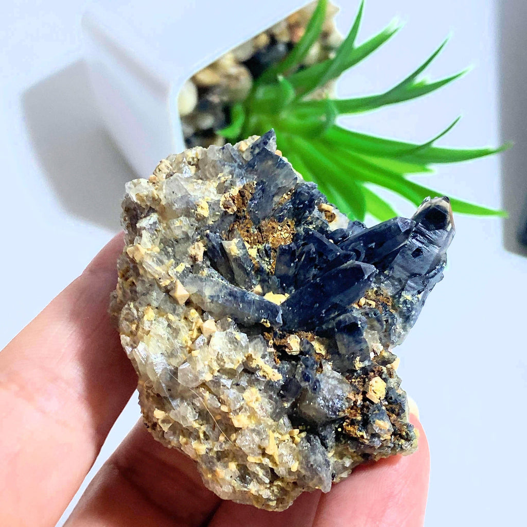 Natural Morion Smoky Quartz Cluster Specimen~Locality Mount Malosa, Zomba, Malawi, Africa - Earth Family Crystals