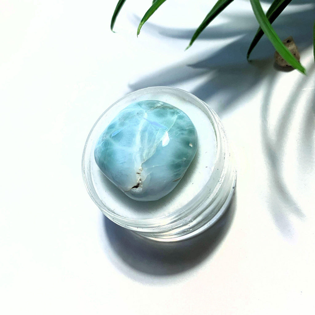Pretty Polished Larimar Free Form in Collectors Box~Locality Dominican Republic #1 - Earth Family Crystals