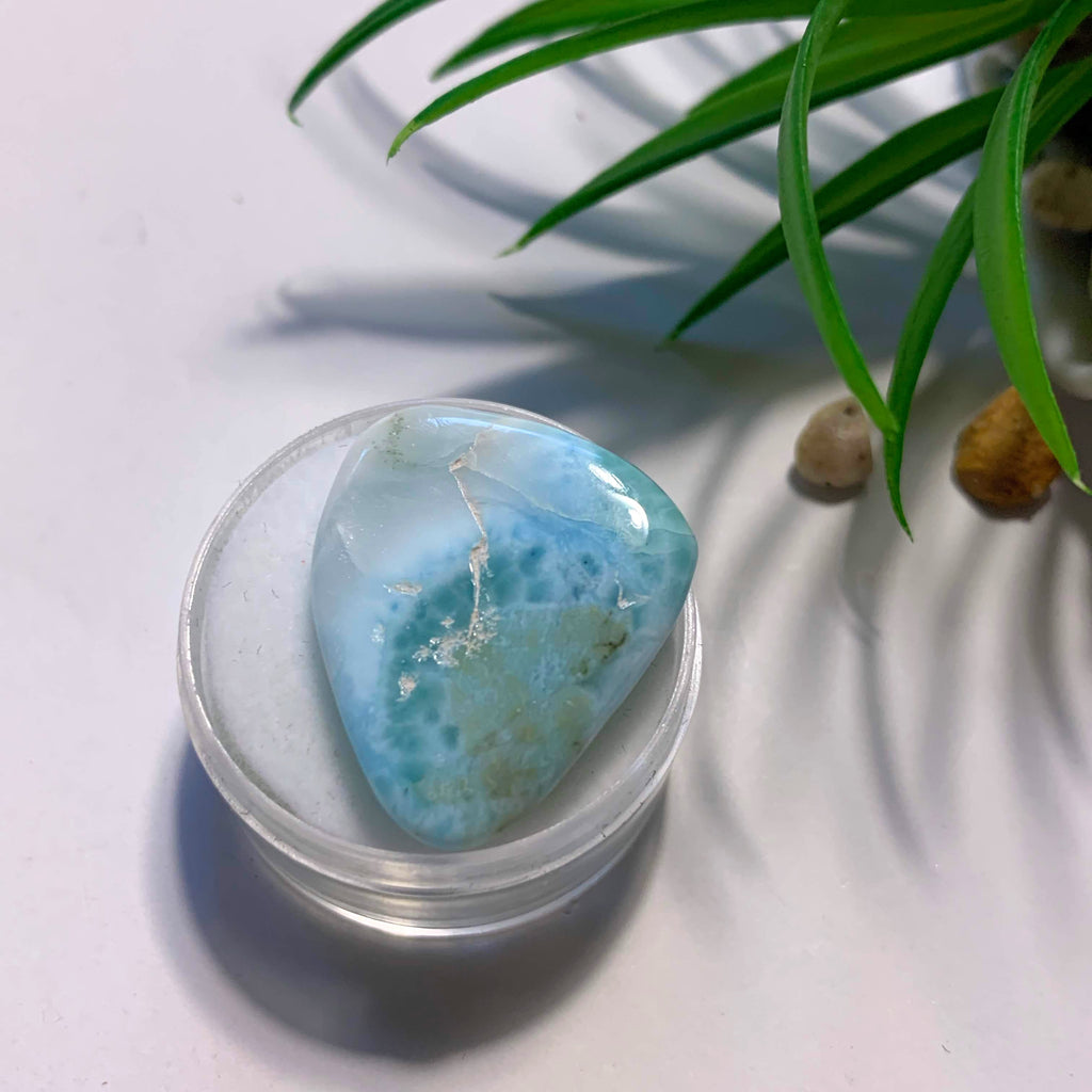 Pretty Polished Larimar Free Form in Collectors Box~Locality Dominican Republic #2 - Earth Family Crystals