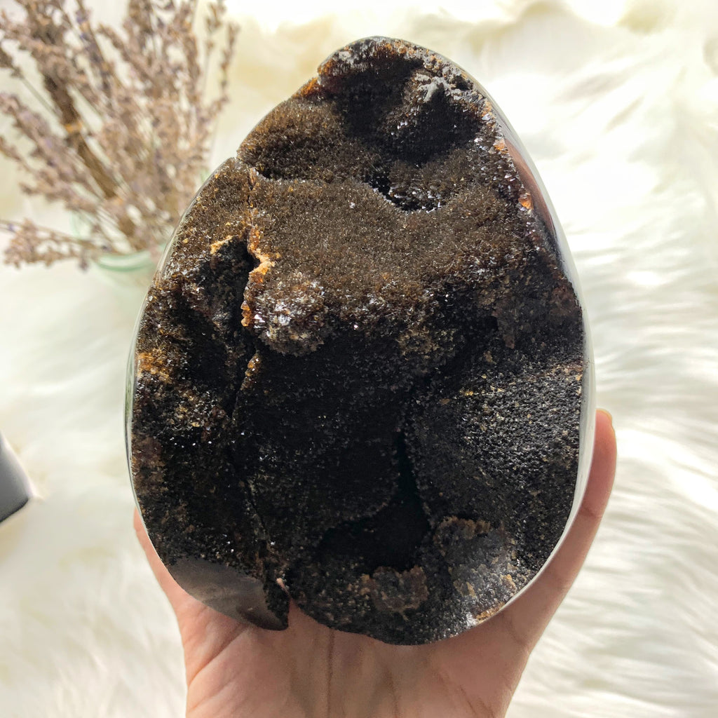 Jumbo Septarian Dragon Egg Specimen With Druzy Geode Cave From Madagascar - Earth Family Crystals