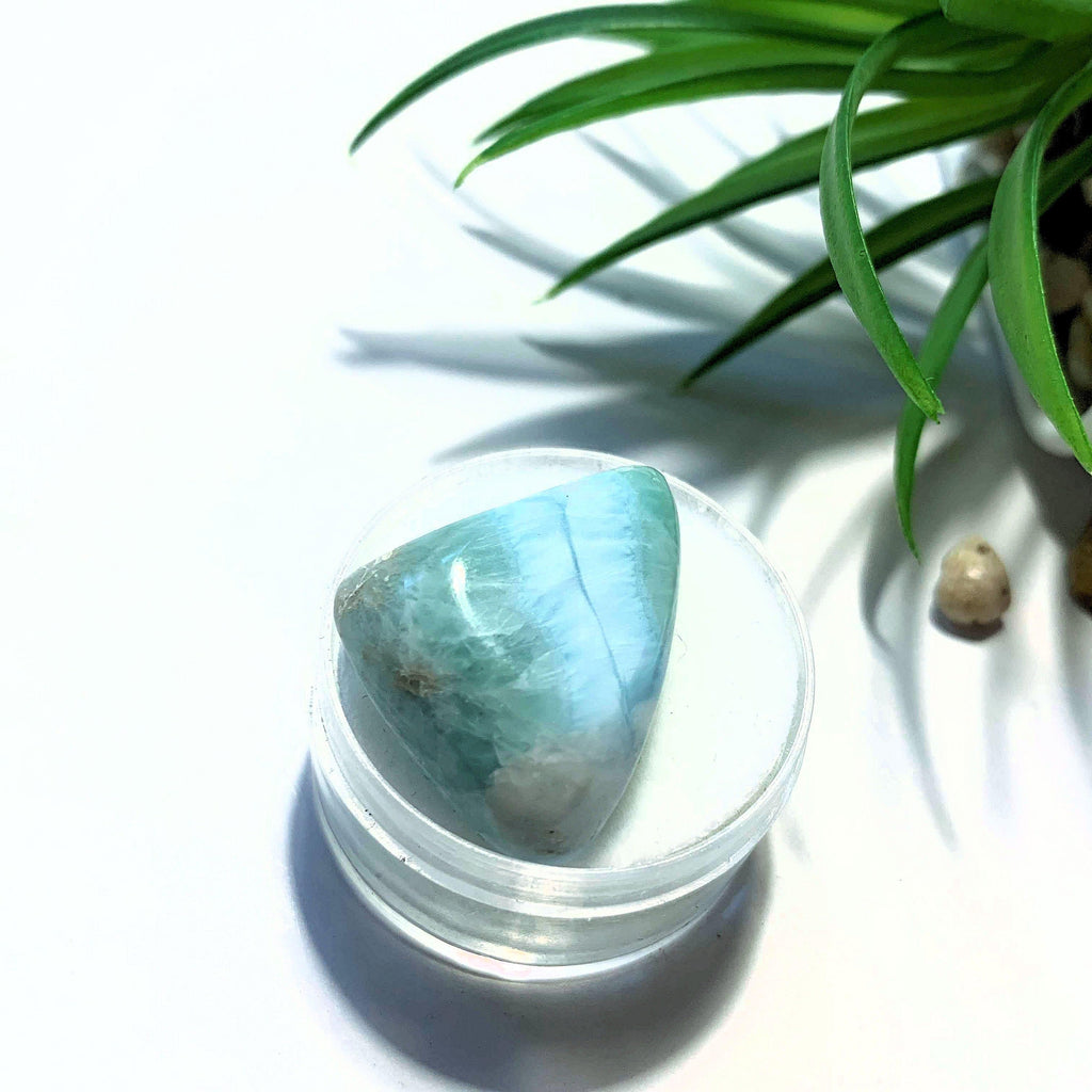 Pretty Polished Larimar Free Form in Collectors Box~Locality Dominican Republic #3 - Earth Family Crystals