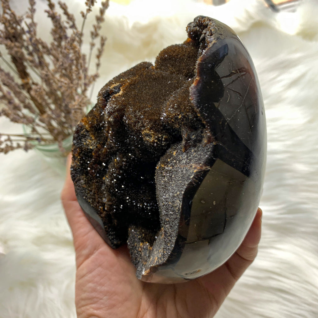 Jumbo Septarian Dragon Egg Specimen With Druzy Geode Cave From Madagascar - Earth Family Crystals