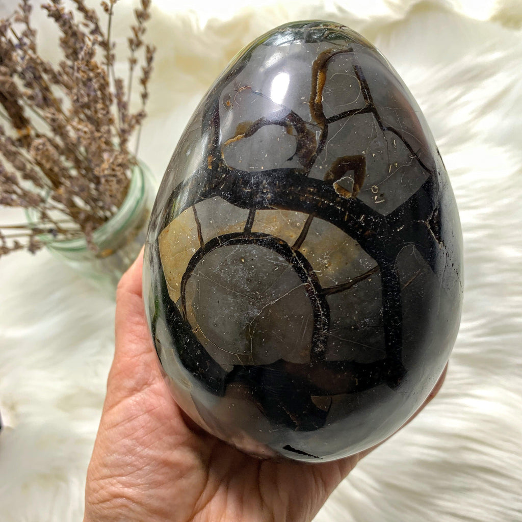 Jumbo Septarian Dragon Egg Specimen With Druzy Geode Cave From Madagascar - Earth Family Crystals