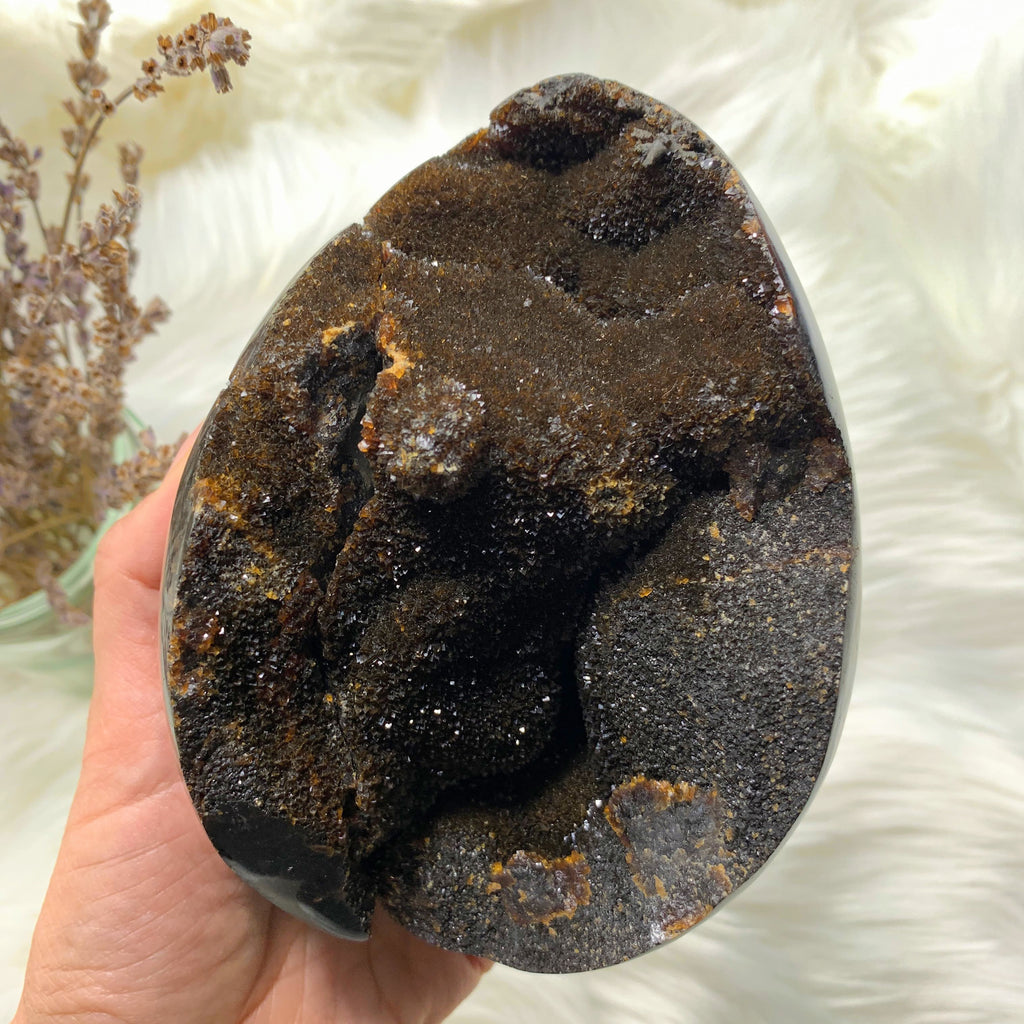 Jumbo Septarian Dragon Egg Specimen With Druzy Geode Cave From Madagascar - Earth Family Crystals