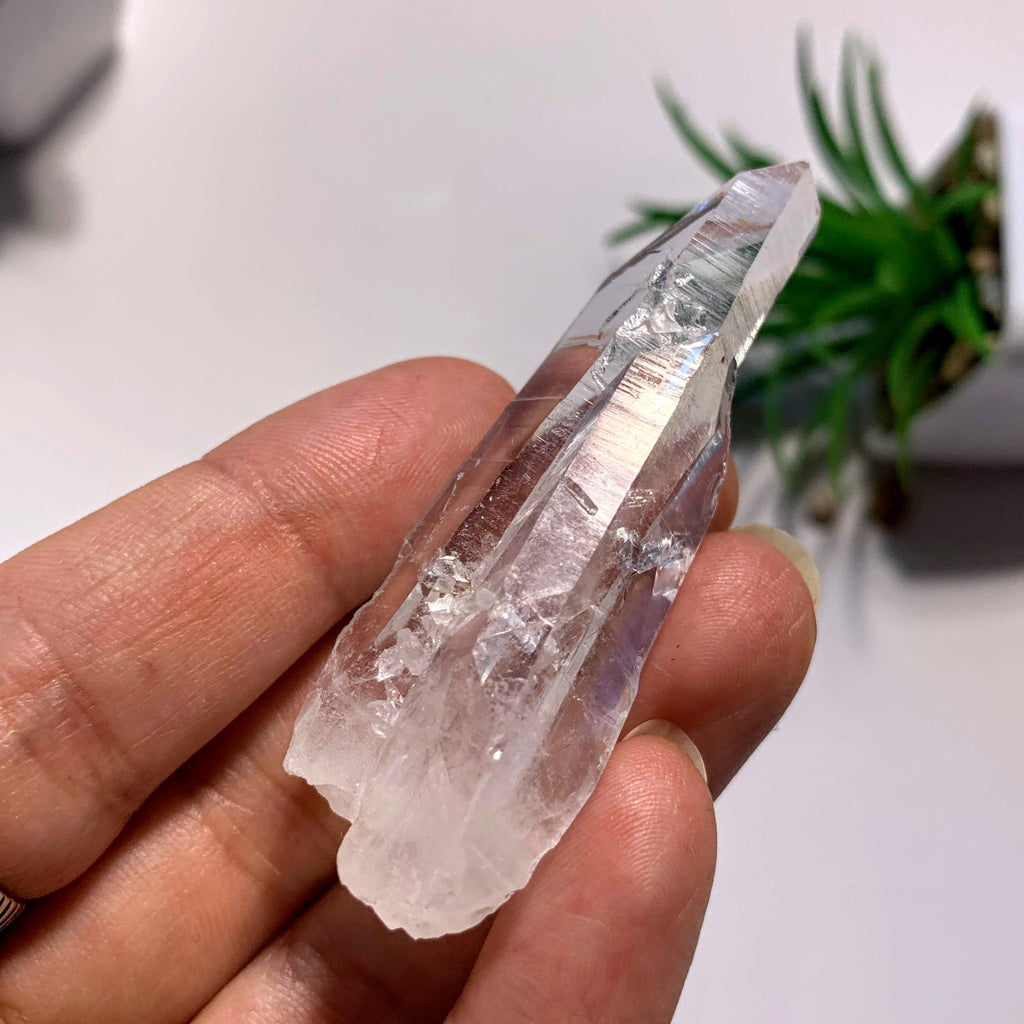 Natural Intertwined Inner Child Clear Quartz Point~Locality Arkansas, USA - Earth Family Crystals