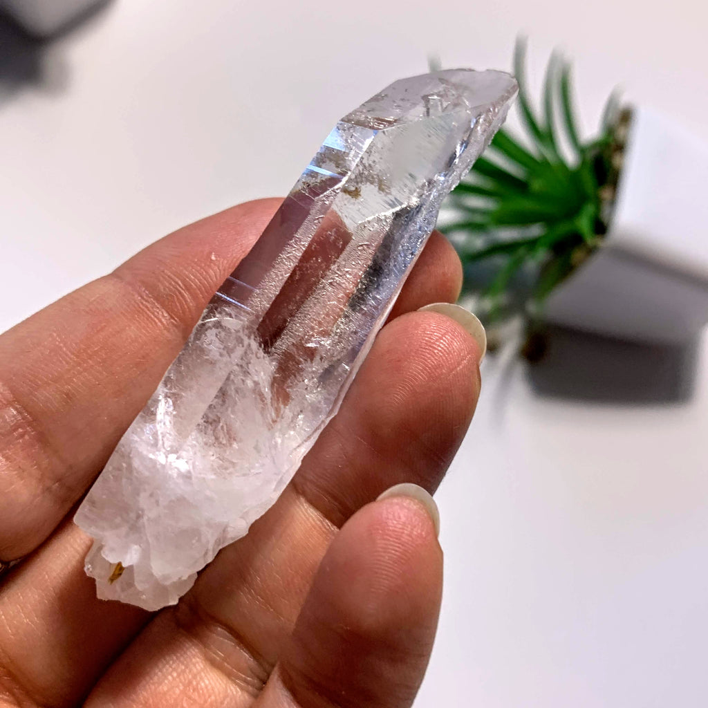 Natural Clear Quartz Point With Druzy Frosting~Locality Arkansas, USA - Earth Family Crystals