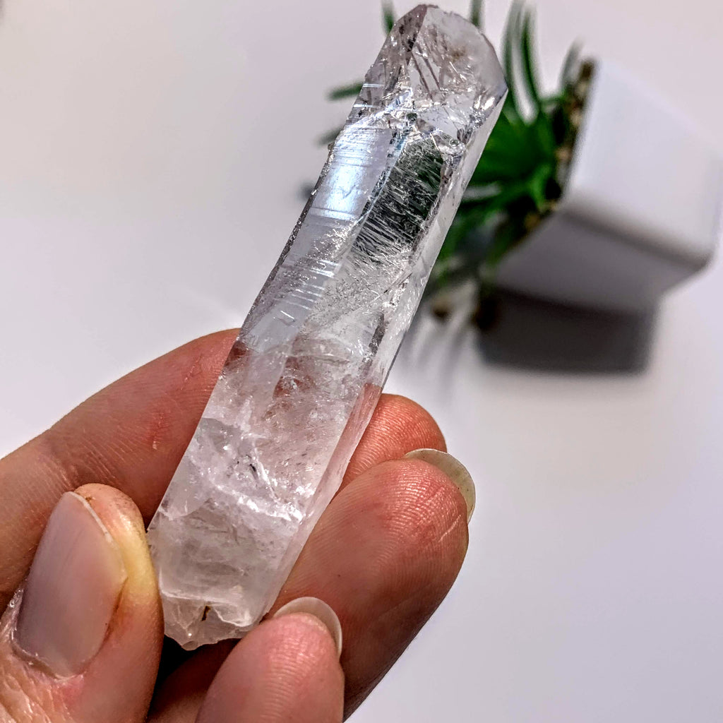 Natural Clear Quartz Point With Druzy Frosting~Locality Arkansas, USA - Earth Family Crystals
