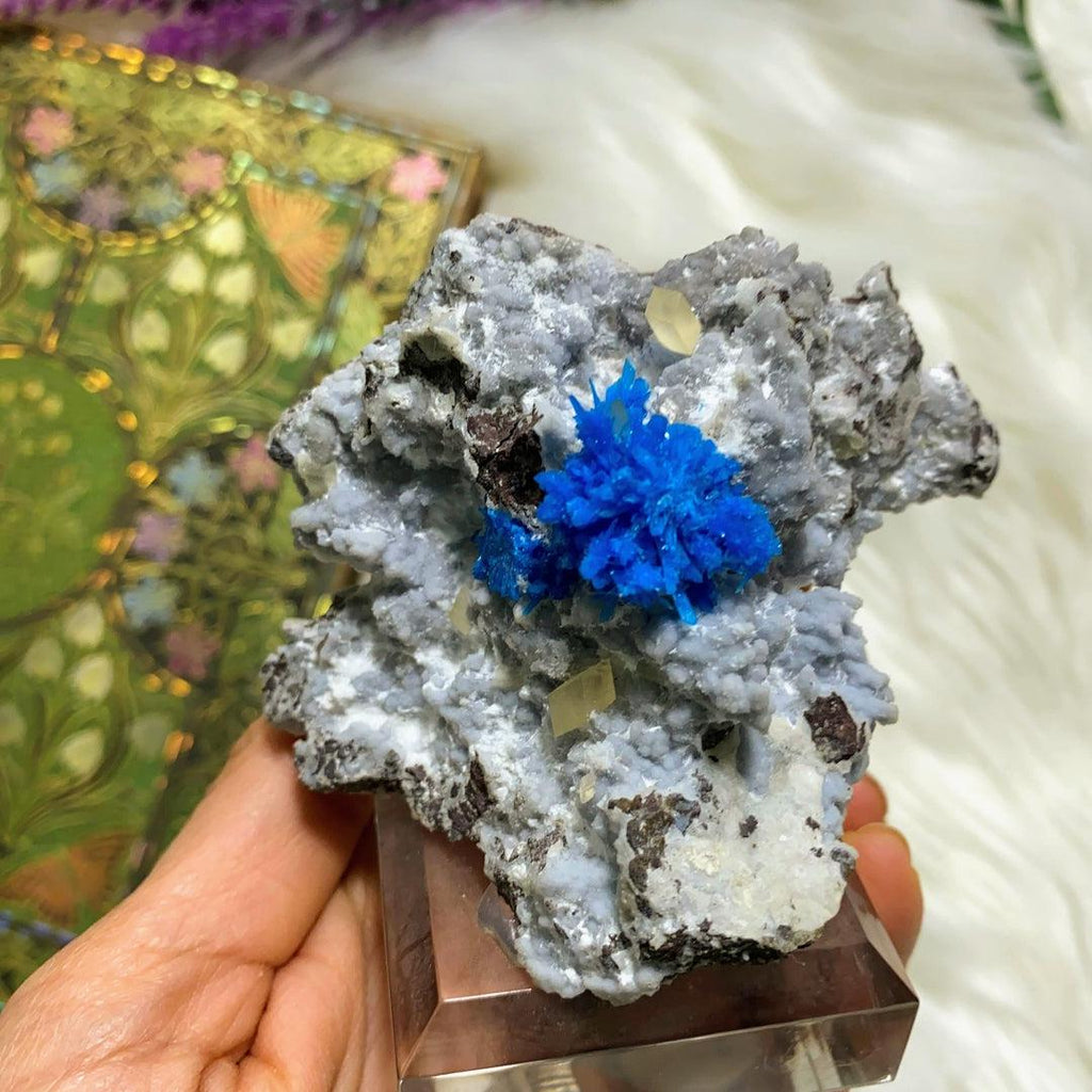 Rare Electric Blue Pentagonite Crystals Nestled on Matrix With Calcite on Display Stand -Locality: India - Earth Family Crystals