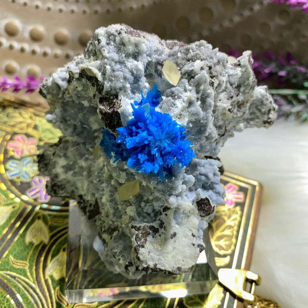 Rare Electric Blue Pentagonite Crystals Nestled on Matrix With Calcite on Display Stand -Locality: India - Earth Family Crystals