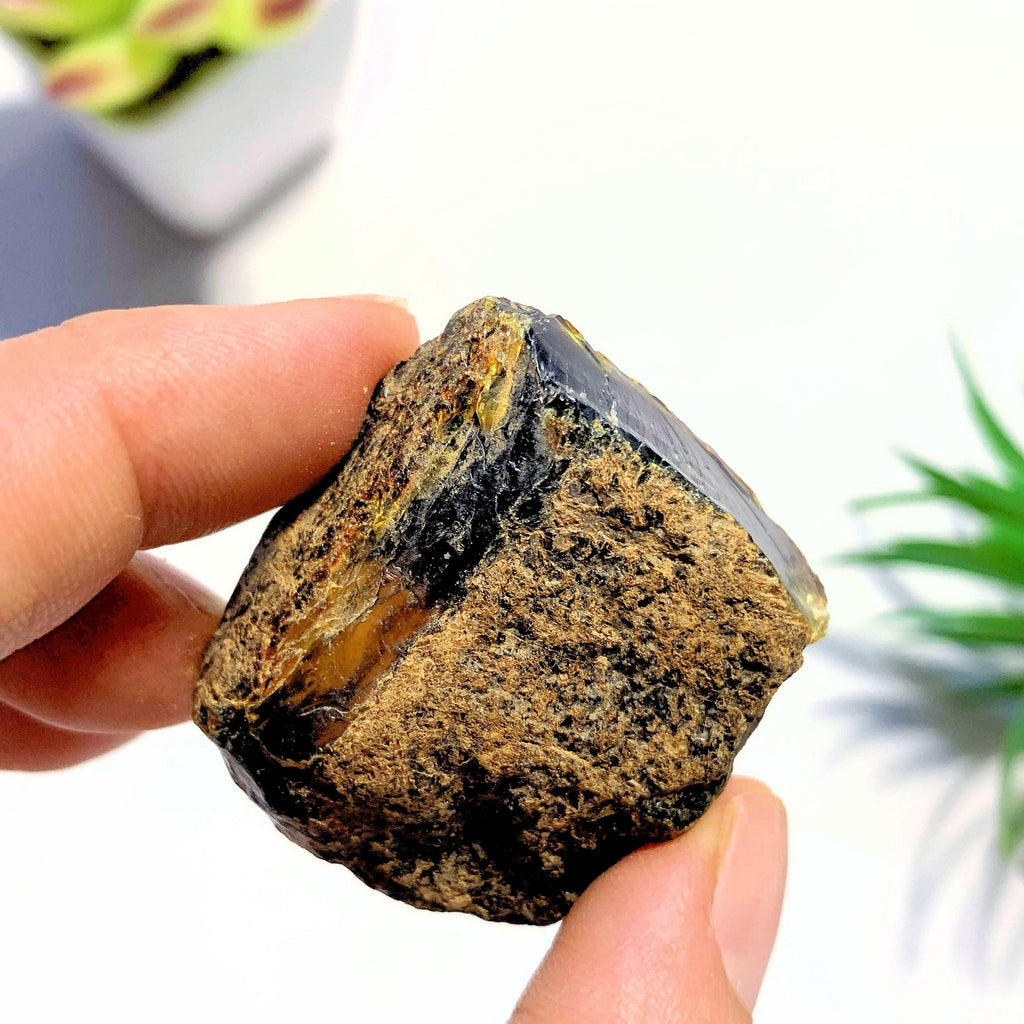 Natural & Raw Sumatra Blue & Golden Raw Amber Chunk #1 - Earth Family Crystals