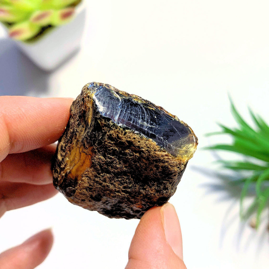 Natural & Raw Sumatra Blue & Golden Raw Amber Chunk #1 - Earth Family Crystals