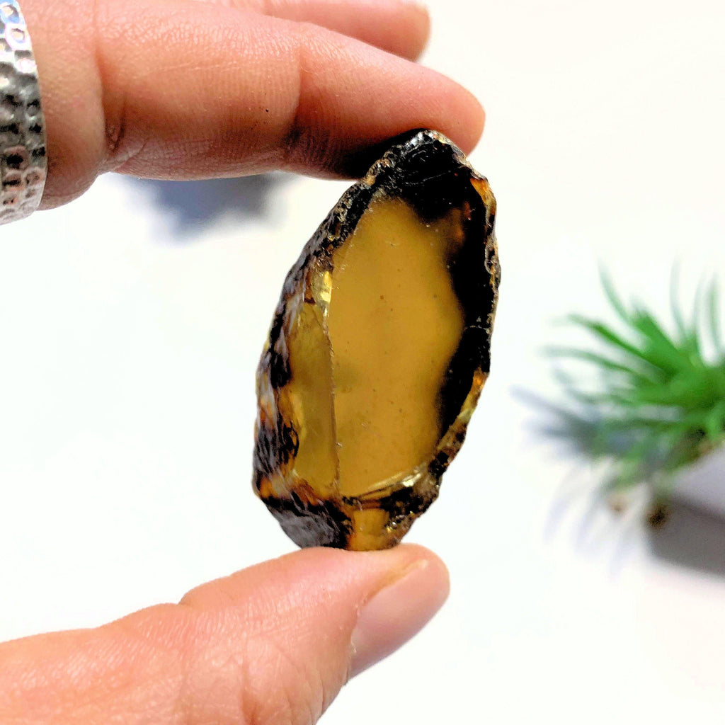 Natural & Raw Sumatra Blue & Golden Raw Amber Chunk #2 - Earth Family Crystals