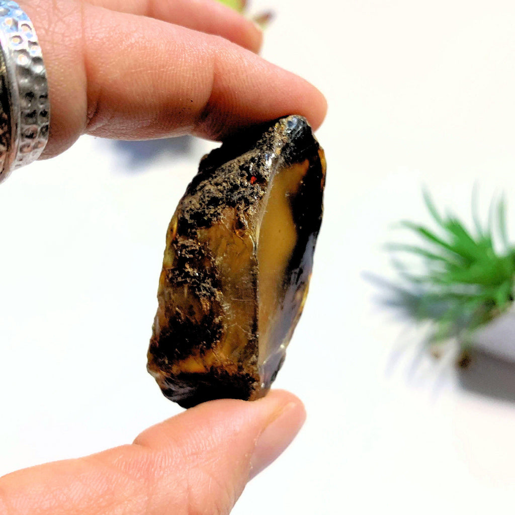 Natural & Raw Sumatra Blue & Golden Raw Amber Chunk #2 - Earth Family Crystals