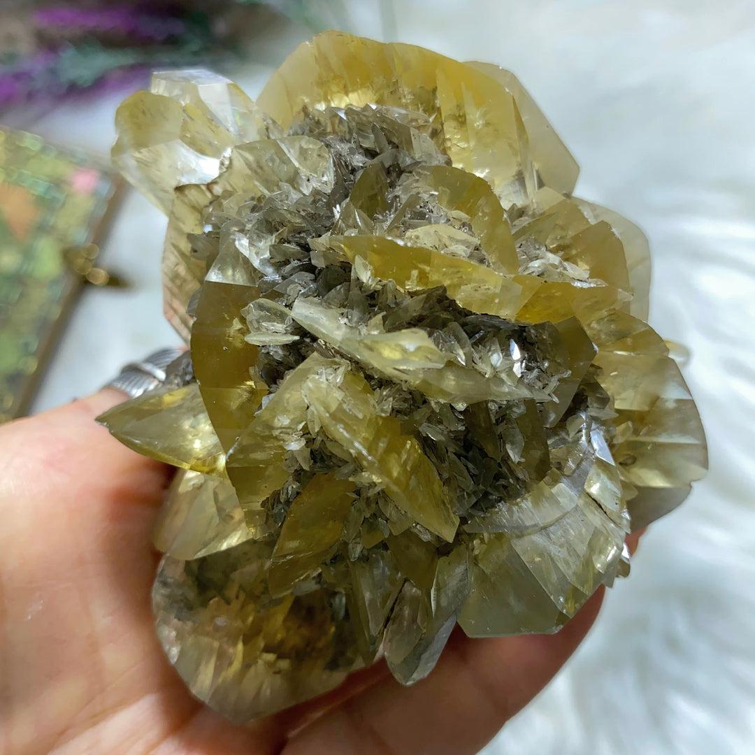 Incredibly Rare! AA Grade XL Golden Winnipeg Gypsum Selenite Rose Crystal Cluster From Manitoba, Canada - Earth Family Crystals