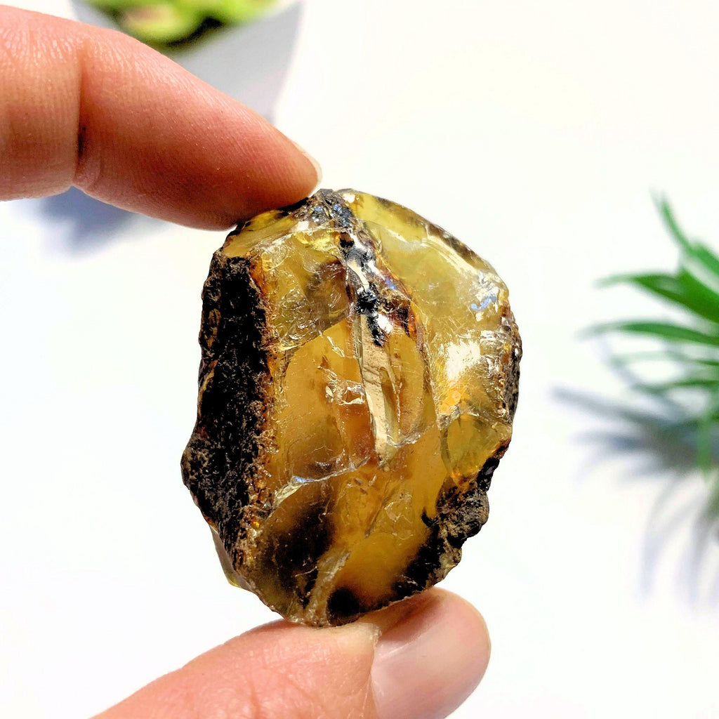 Natural & Raw Sumatra Blue & Golden Raw Amber Chunk #3 - Earth Family Crystals