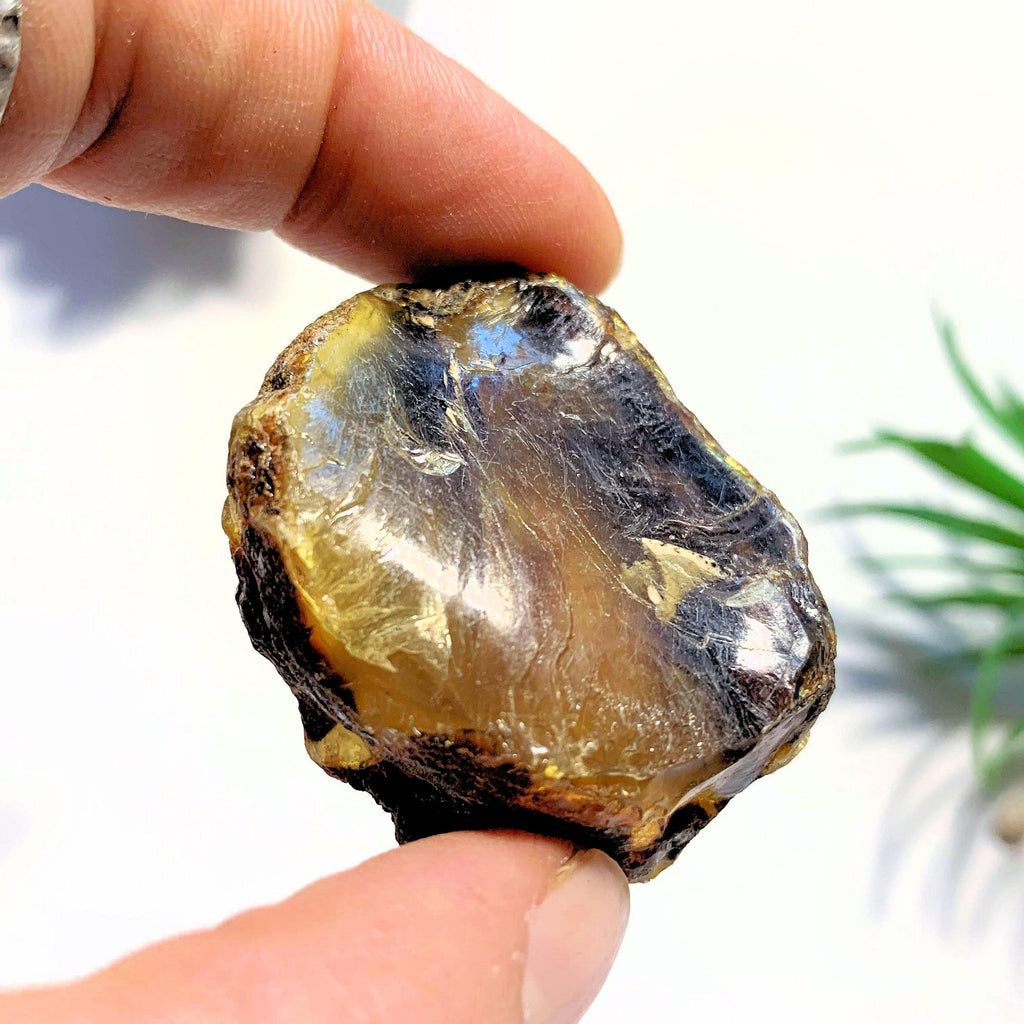 Natural & Raw Sumatra Blue & Golden Raw Amber Chunk #3 - Earth Family Crystals