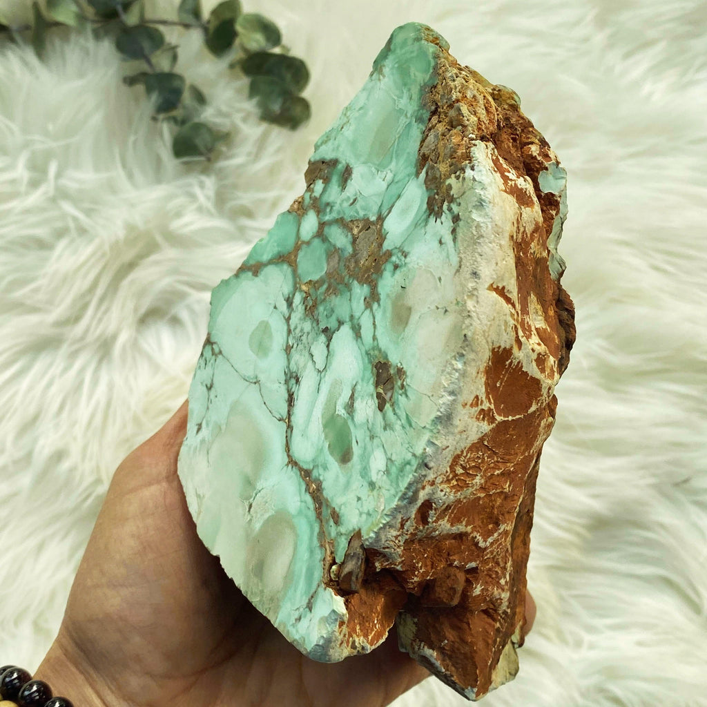 Rare & Amazing! 1.3kg Australian Variscite Partially Polished Display Specimen - Earth Family Crystals