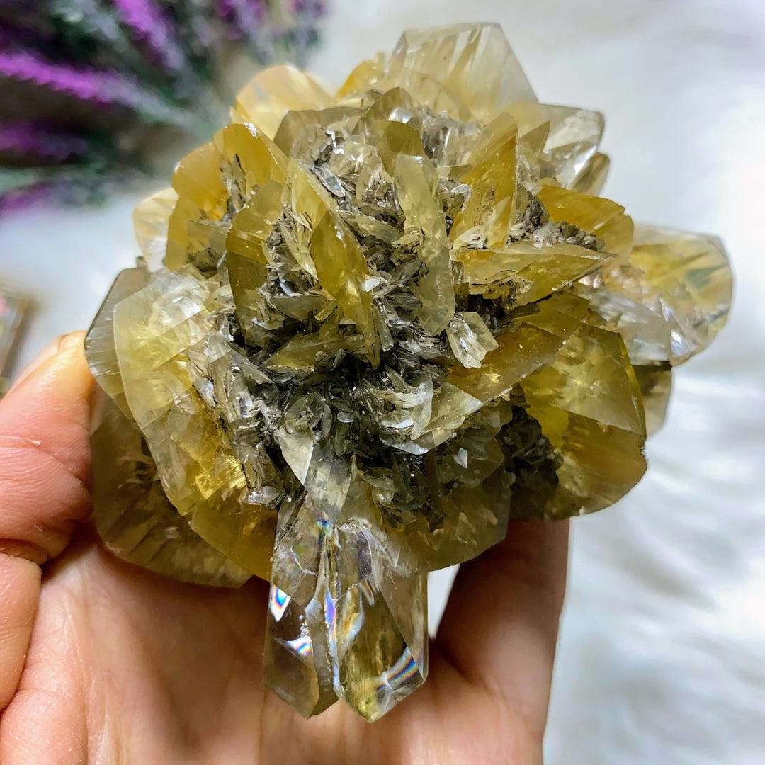 Incredibly Rare! AA Grade XL Golden Winnipeg Gypsum Selenite Rose Crystal Cluster From Manitoba, Canada - Earth Family Crystals