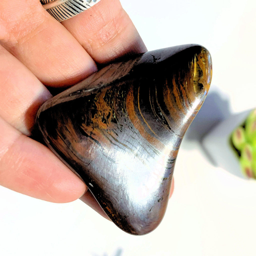 Pretty Depth~Shiny Tiger Iron Hand Held Specimen From Australia - Earth Family Crystals