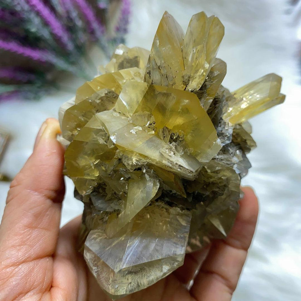 Incredibly Rare! AA Grade XL Golden Winnipeg Gypsum Selenite Rose Crystal Cluster From Manitoba, Canada - Earth Family Crystals
