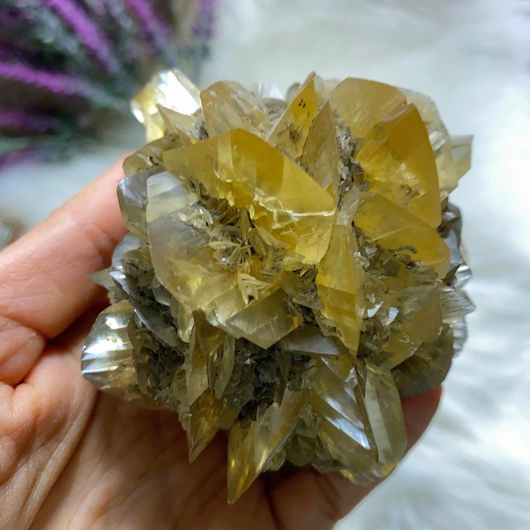 Incredibly Rare! AA Grade XL Golden Winnipeg Gypsum Selenite Rose Crystal Cluster From Manitoba, Canada - Earth Family Crystals
