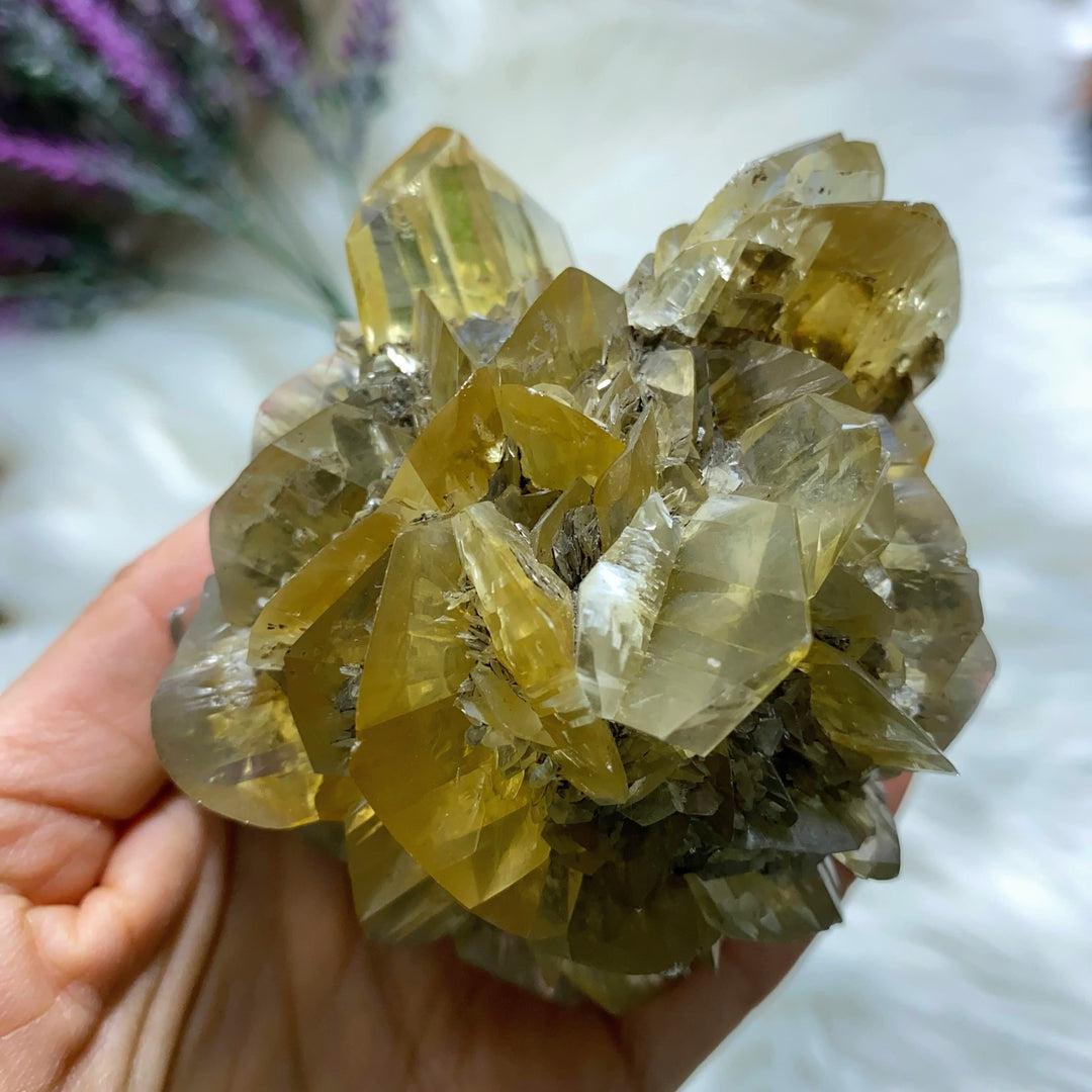 Incredibly Rare! AA Grade XL Golden Winnipeg Gypsum Selenite Rose Crystal Cluster From Manitoba, Canada - Earth Family Crystals
