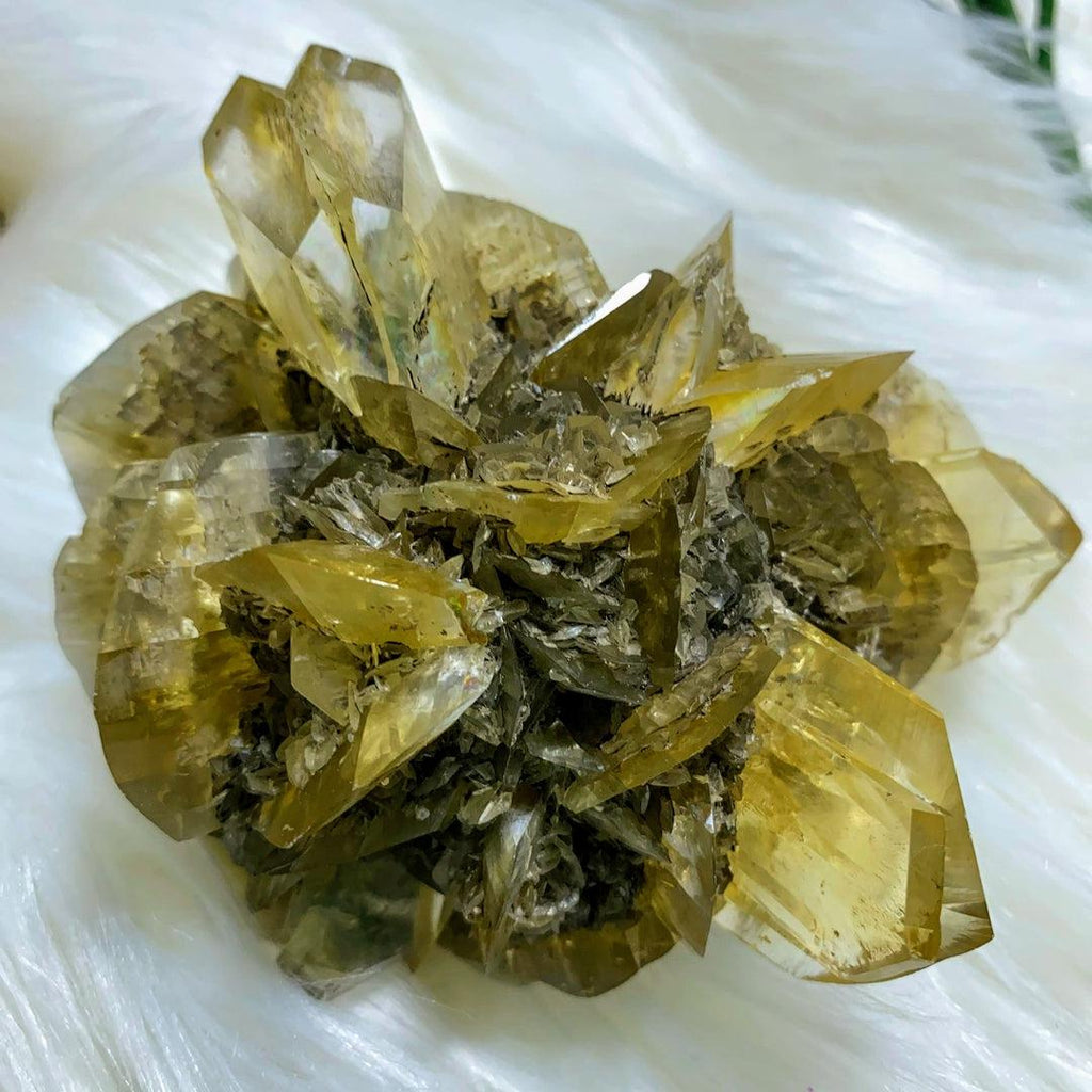Incredibly Rare! AA Grade XL Golden Winnipeg Gypsum Selenite Rose Crystal Cluster From Manitoba, Canada - Earth Family Crystals