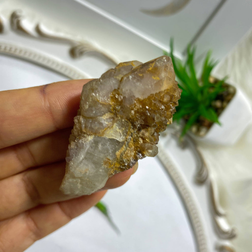 Natural Citrine Included Spirit Quartz Point~ Locality: S.Africa - Earth Family Crystals