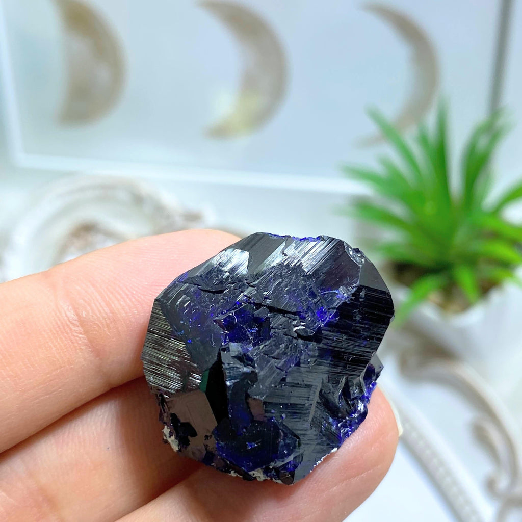 Rare! Gemmy Dark Blue Azurite Crystal Collectors Formation From Milpillas Mine, Mexico - Earth Family Crystals