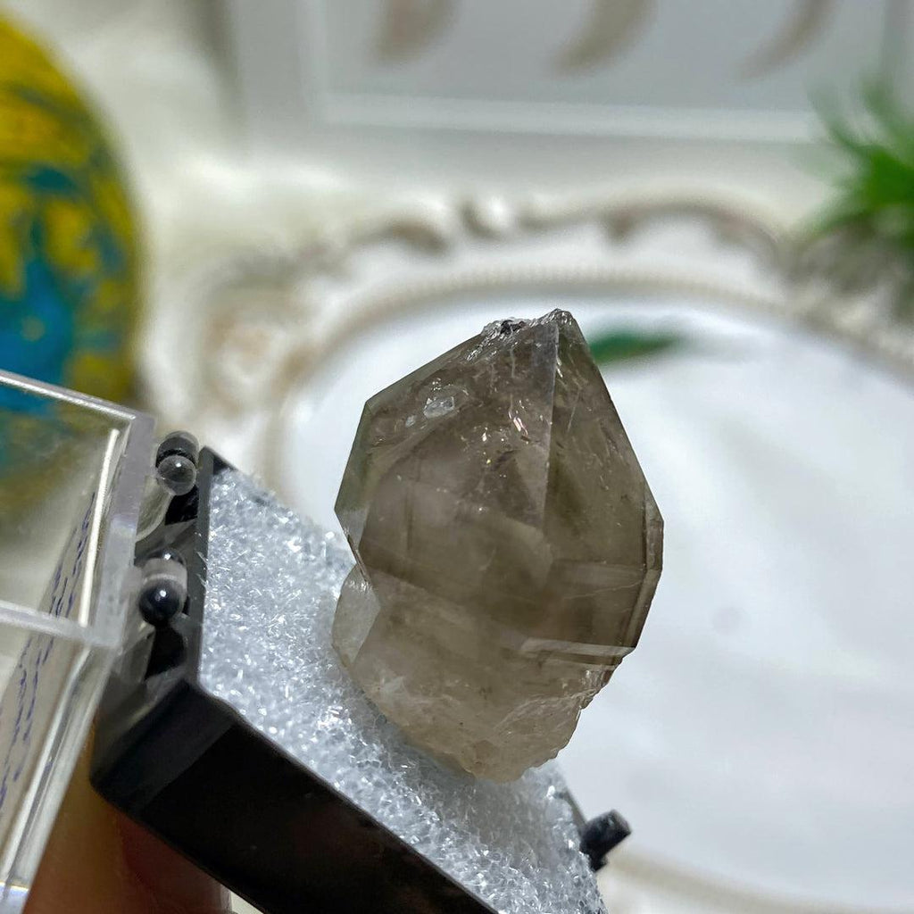 Special Formation~ Phantom & Scepter Natural Smoky Quartz Point in Collectors Box From Fat Jack Mine, Arizona - Earth Family Crystals