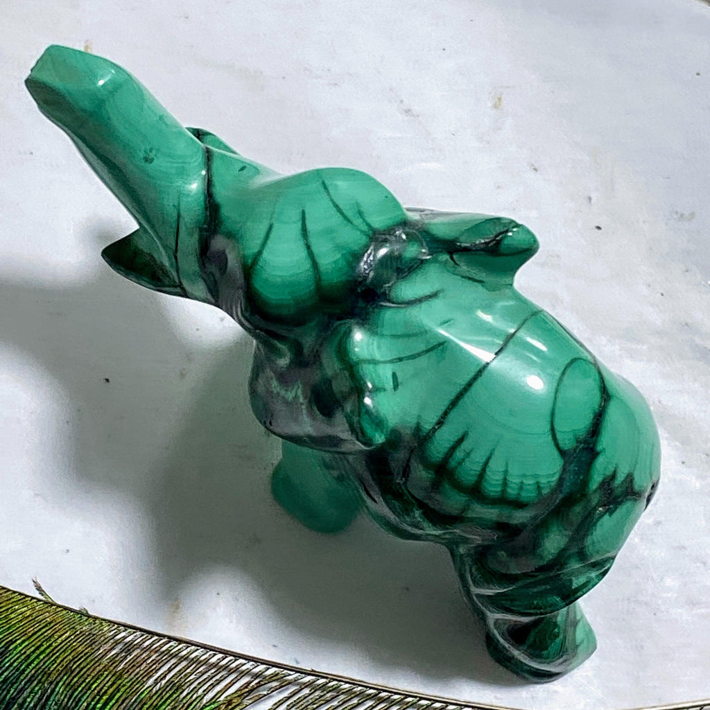 Standing Malachite Elephant Display Carving *REDUCED - Earth Family Crystals