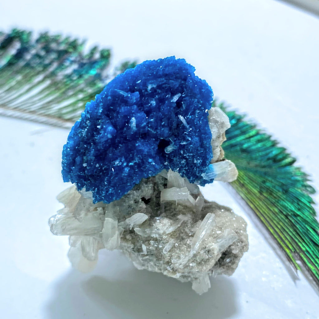 AA Grade Collectors Cavansite Crystal On Sparkly Stilbite Matrix From India - Earth Family Crystals