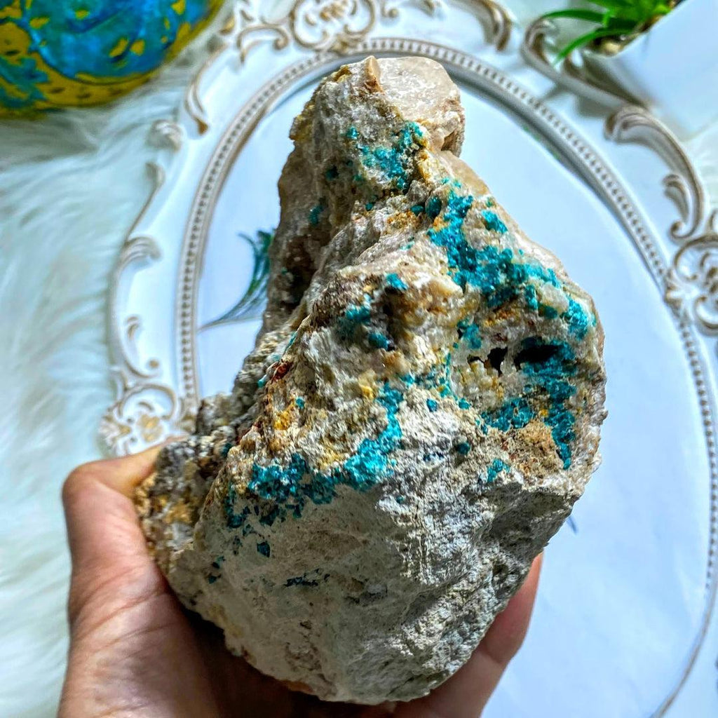 Natural Chunky XL Dioptase Crystals Nestled in Rock Matrix~ Locality Namibia - Earth Family Crystals