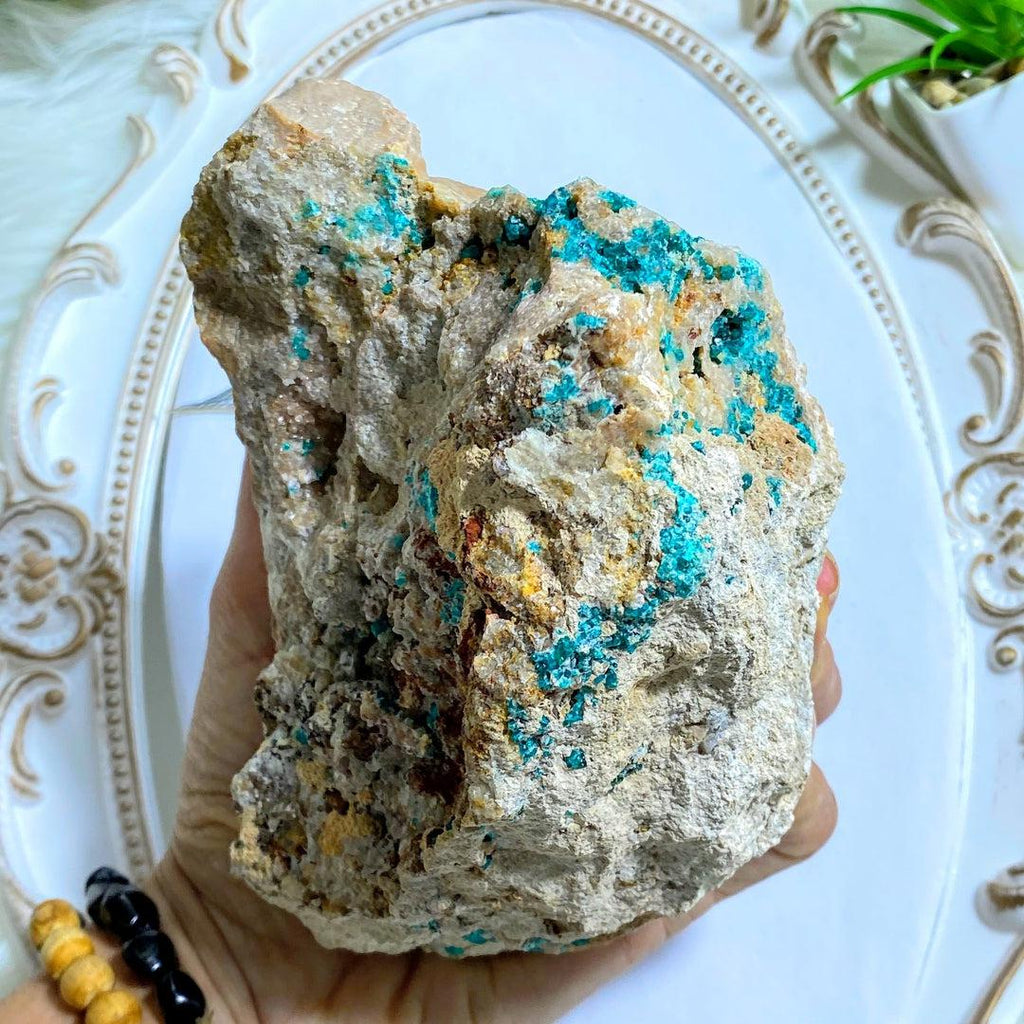 Natural Chunky XL Dioptase Crystals Nestled in Rock Matrix~ Locality Namibia - Earth Family Crystals
