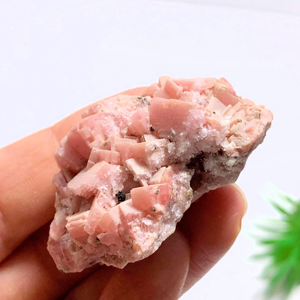 Rare Collectors Locale ~ Natural Pink Rhodochrosite Specimen From Butte, Montana - Earth Family Crystals