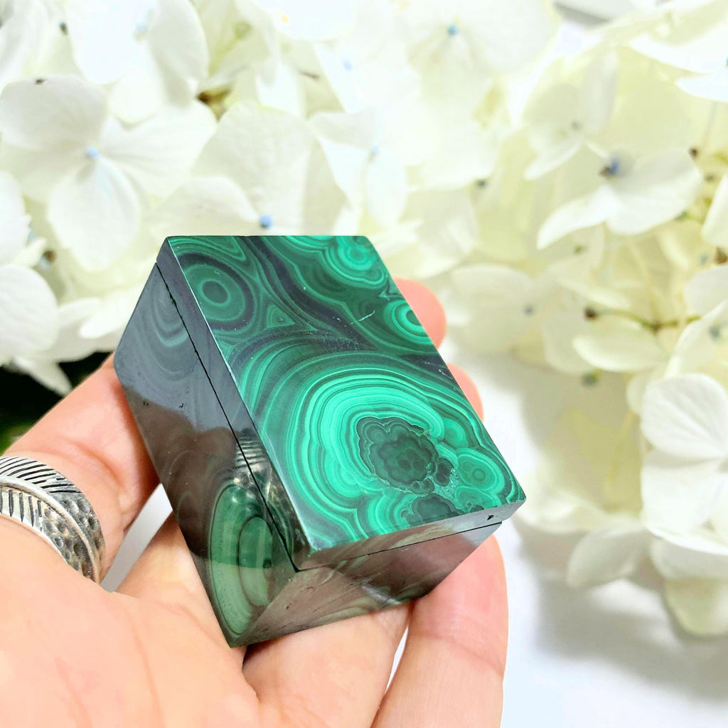 Incredible Malachite Carved Jewelry Box With Removable Lid #1 - Earth Family Crystals