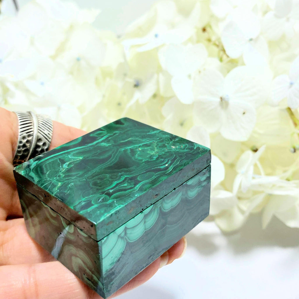 Incredible Malachite Carved Jewelry Box With Removable Lid #2 - Earth Family Crystals