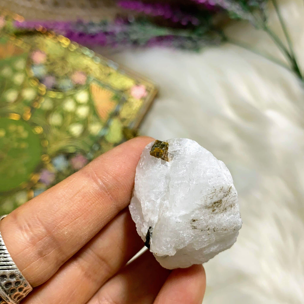 Rare Greenland Locale! Shiny Brown Siderite & White Cryolite Natural Specimen - Earth Family Crystals